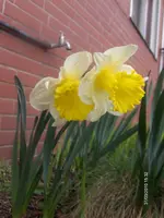 HPIM4131.webp