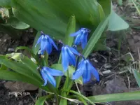 HPIM4125.webp