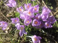 HPIM4115.webp