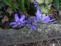 310310:27.webp