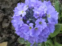 IMG_3256_1280x960.webp