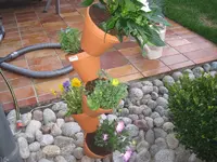 005.webp