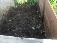 HPIM4172.webp