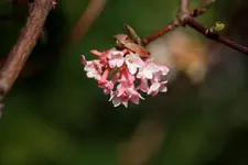 comp_IMG_7158.webp
