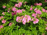 IMG_20240508_143716.jpg