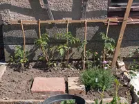 HPIM4444[1].webp