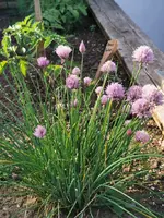 IMG_20240510_174650.webp