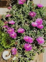 IMG_20240515_123911.webp