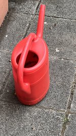 IMG_0001.jpeg