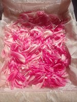 IMG_20240514_154617.jpg
