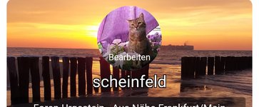 Screenshot_20240516_083922_Samsung Internet.jpg