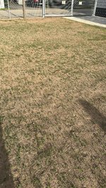 C617C2FF-F2BD-42F6-AAF9-F60AD6E3B87E.jpeg