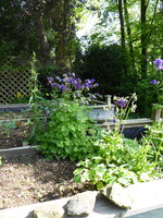 P1040279Hochbeet.JPG