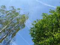 P1040280Himmel.JPG