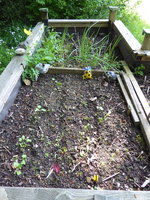 P1040281Hochbeet.JPG