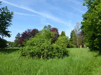 P1040291Übersicht.JPG