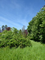 P1040357Übersicht.JPG