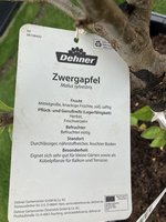 IMG_3131.jpeg