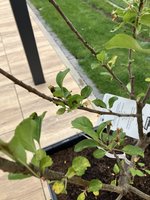 IMG_3130.jpeg