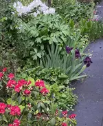 IMG_2603.webp