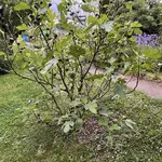 IMG_0022.jpeg