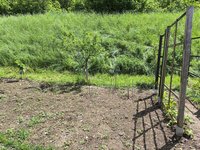 IMG_20240518_133648.jpg