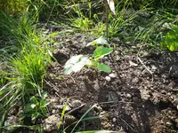IMG_20240518_173119.webp