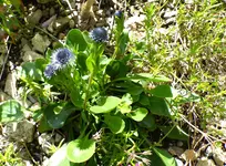 P1450290.webp