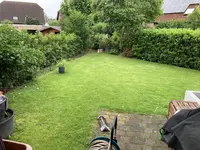 Blick aus Garage auf Rasenfläche.webp