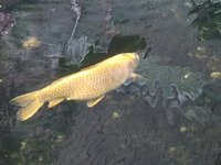 IMG_20240519_132712.jpg