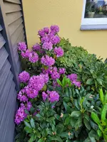 20240518_163851.webp