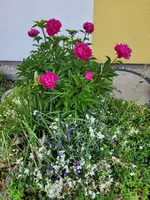 20240518_163649.webp