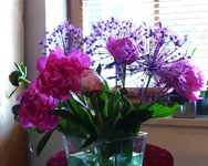 P1450351.webp