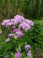 IMG_20240519_161441.webp