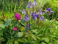 IMG_20240519_153724.webp