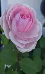 20240520_163639.webp