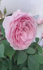 20240520_163626.webp
