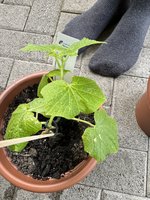 IMG_1991.jpg