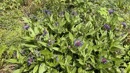 IMG_0047.webp