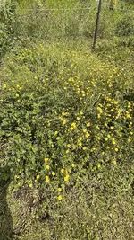IMG_0048.webp