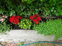 DSC03409.JPG