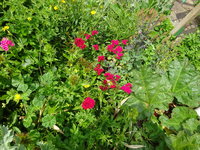 DSC03408.JPG