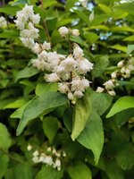 IMG_20240519_184819.jpg