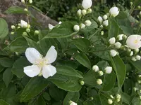 IMG_0836.jpeg
