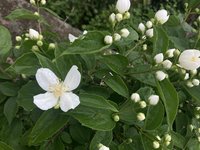 IMG_0836.jpeg