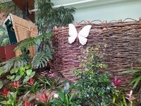 IMG_20240519_131837_1.jpg