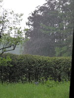 P1040419Ausblick in den Regen.JPG