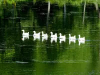 057.webp