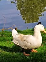 IMG_20200915_131511_3.jpg