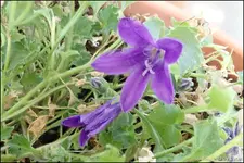 c022.webp